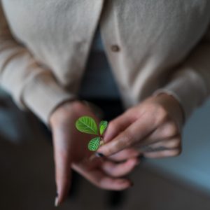 photograph of hands holding a seedling